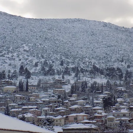 Zaggou Ξενοδοχείο με διαμερίσματα Αμφίκλεια
